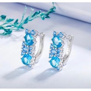 Sea Blue Crystal Earrings
